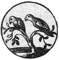 Two Birds